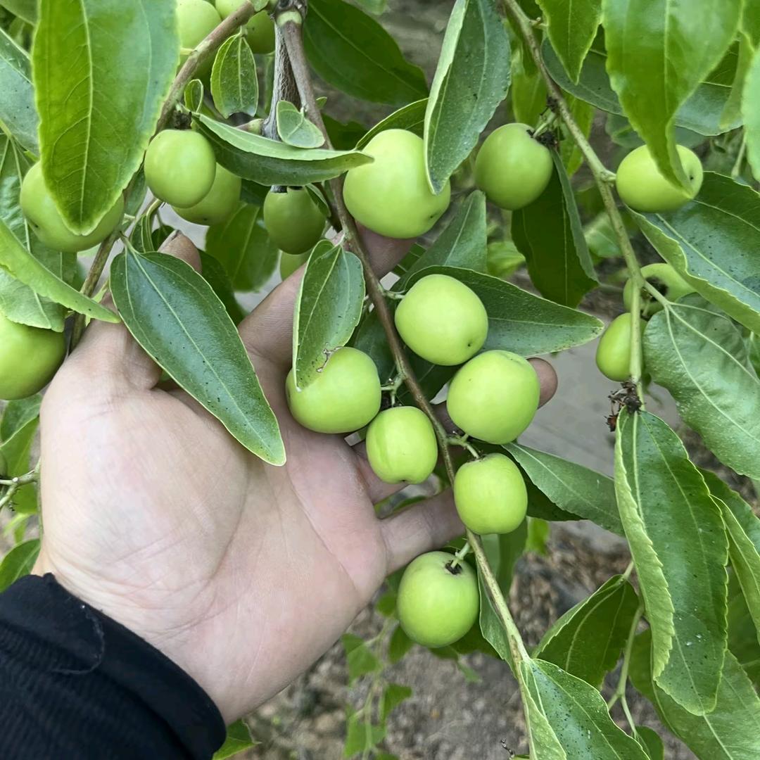 快🙏乐🙏每🙏一🙏天