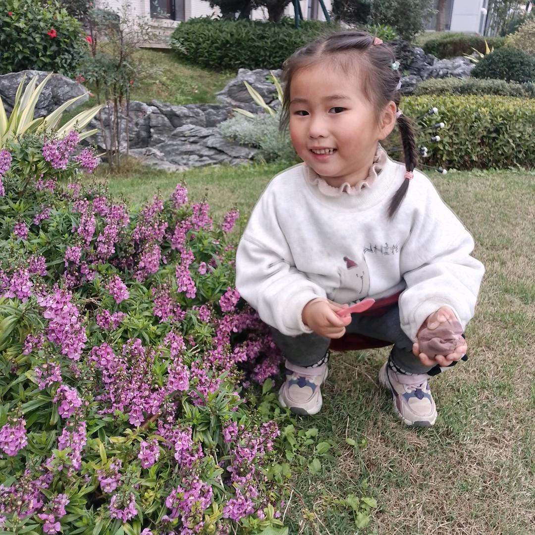 淡淡的甜