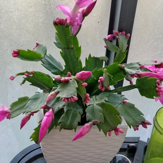 缘尽则散