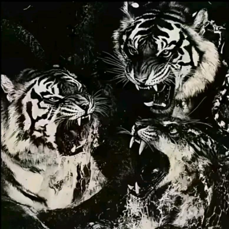 比路虎还虎的男人