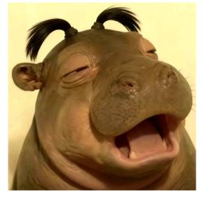 【众阳名车——倪彦祖】