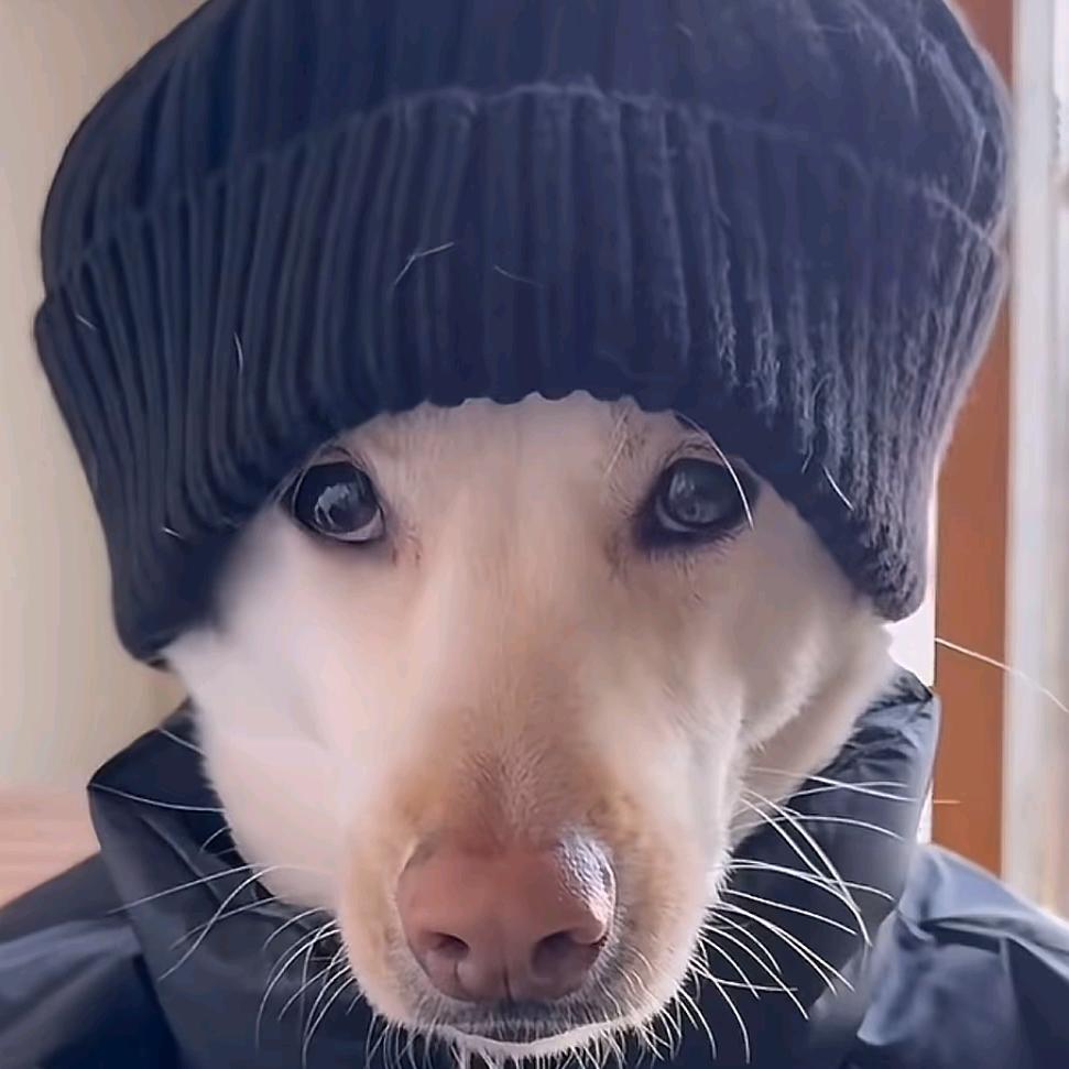 肖恩