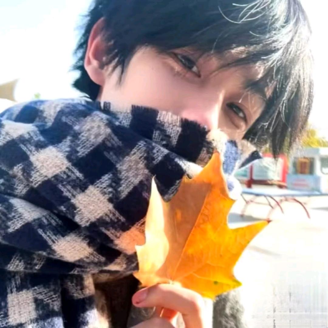 扯淡的爱越扯越淡