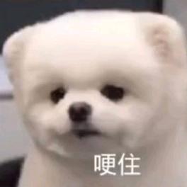 不是小厨子