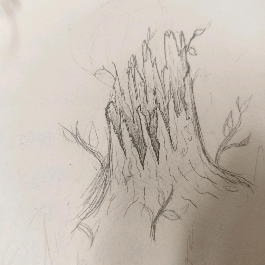 《食尚客》焖柴鸡面片