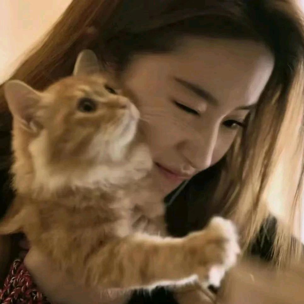 清心寡欲俏蟑螂在手机上点18个帅哥被发现