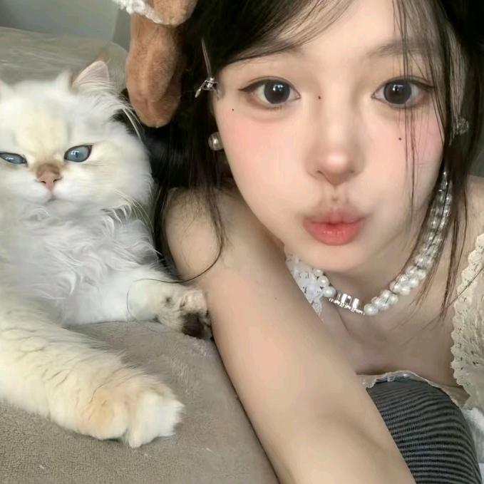 脆脆鲨💕