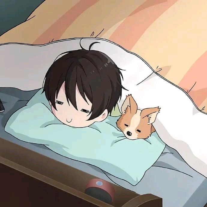 蒙娜粒粒鲨