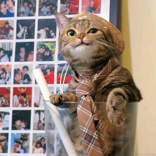 扶老奶奶闯红灯