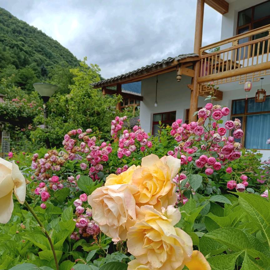 晴天
