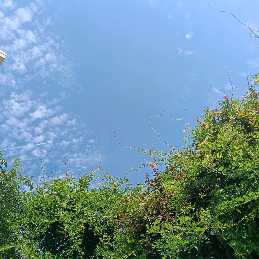 是一鸣啊