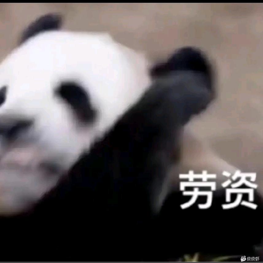 随便吧