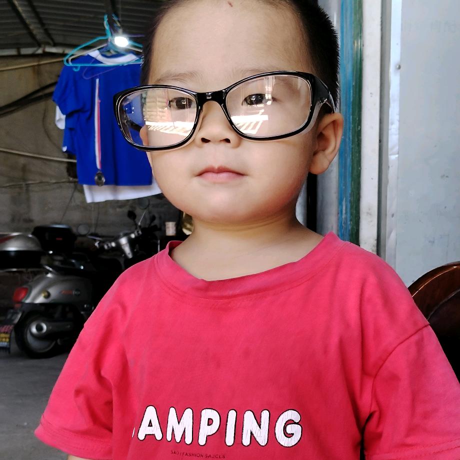 烦(;｀O´)o老🐭太🐯多🦋杨