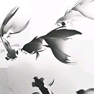 繁华～～小馒头