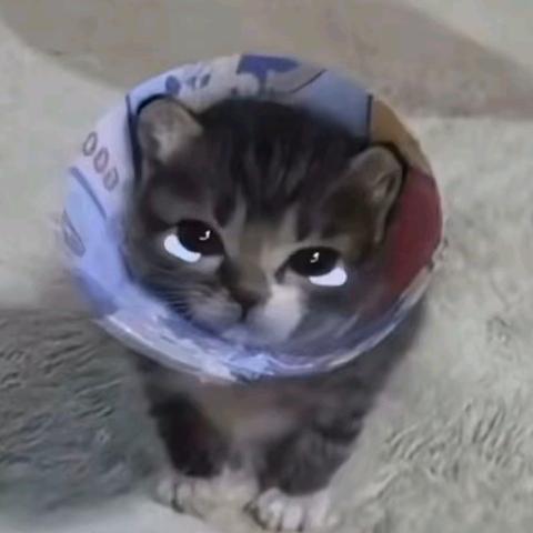 零微绪