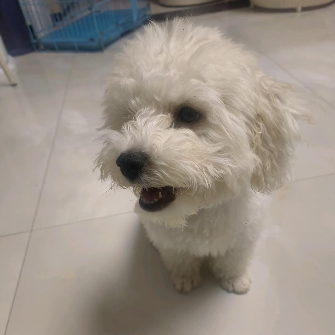 钱多多是只魔丸