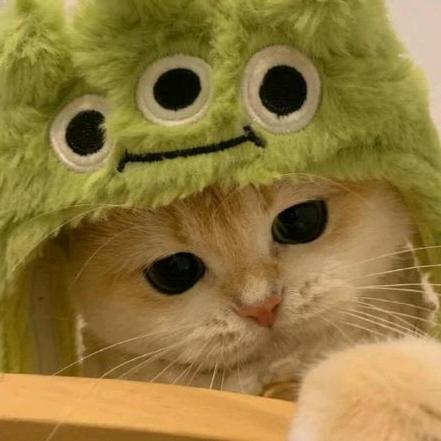 不吃香菜（黄玲妹布艺店）