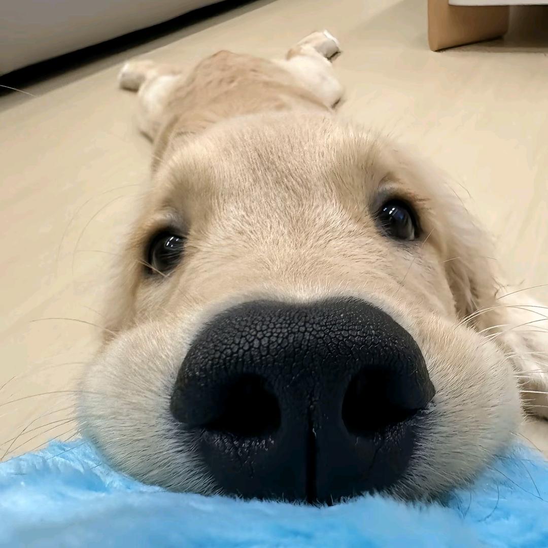 吃一口云彩面包