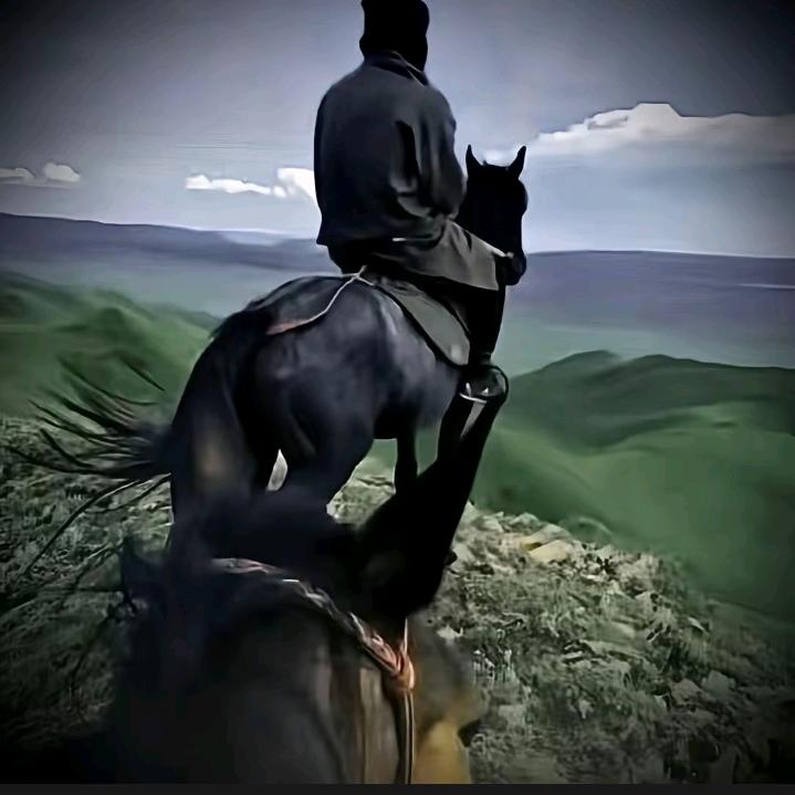 马结合男🐴人的梦想
