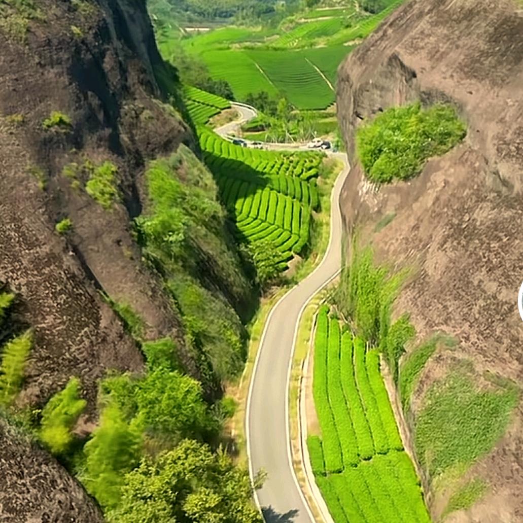 旅行快乐