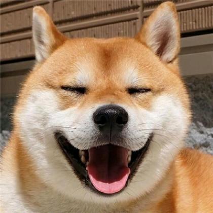 快到碗里来