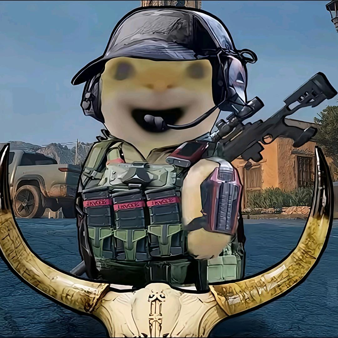 机坝鼠（三角州代肝）