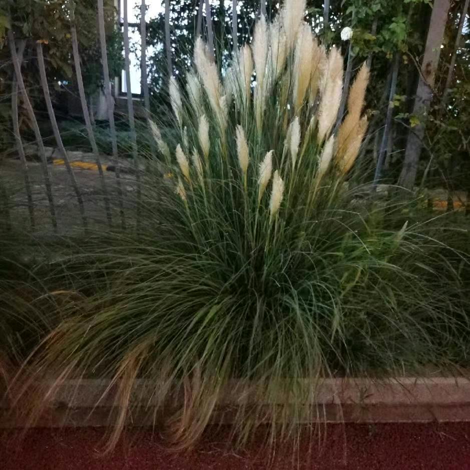 于姐好物