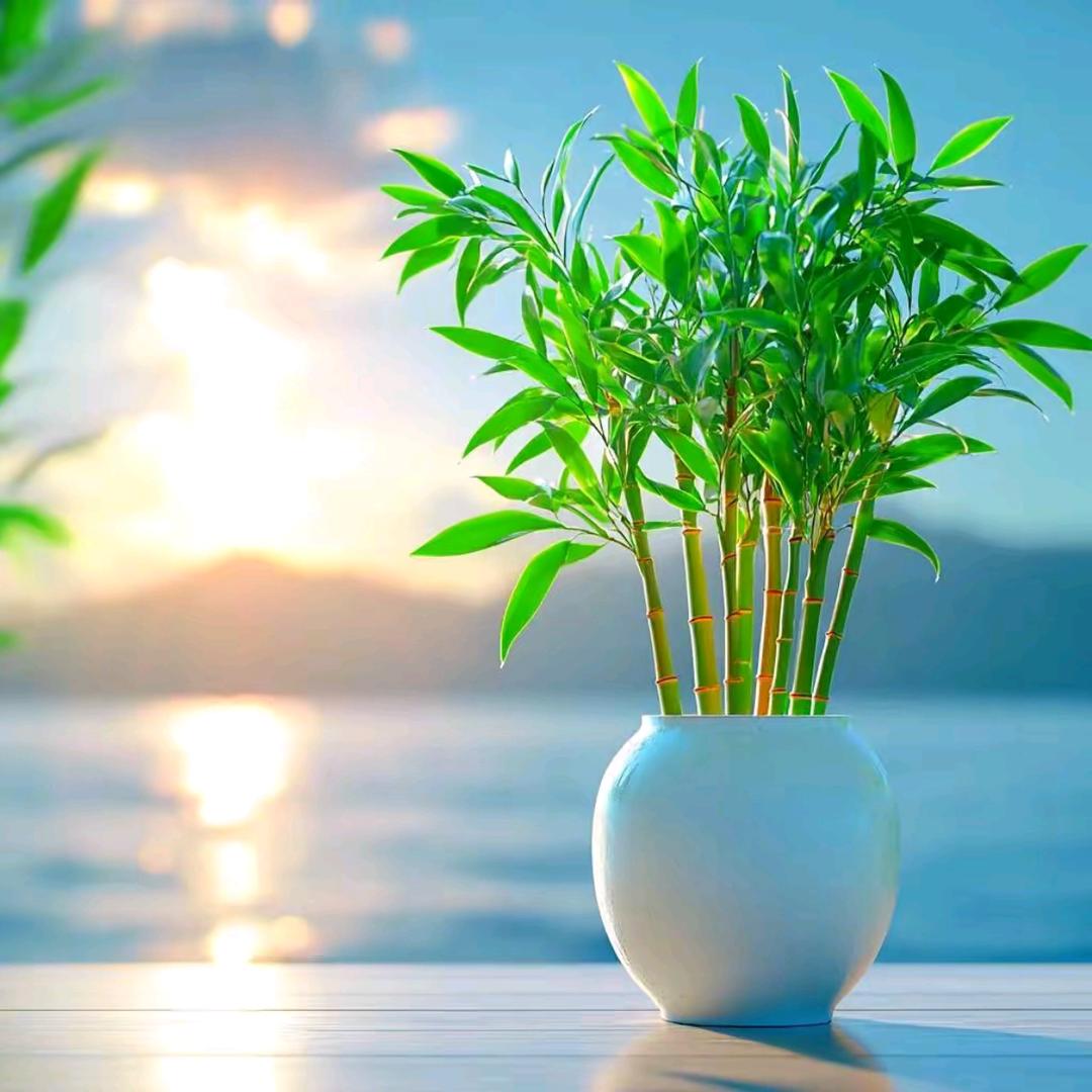 🌈漫步人生路🪂️🪂️