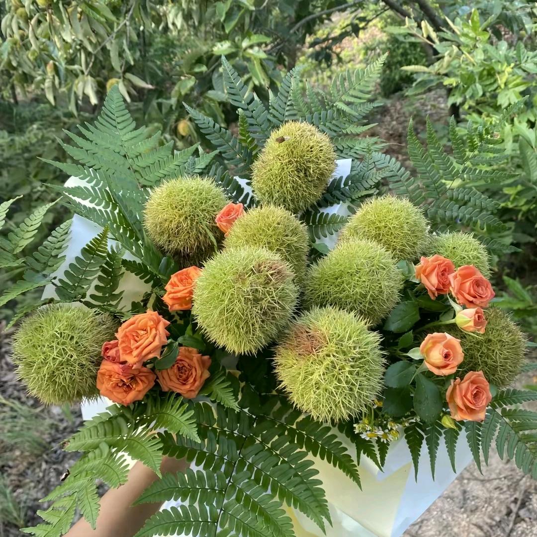 梦圆