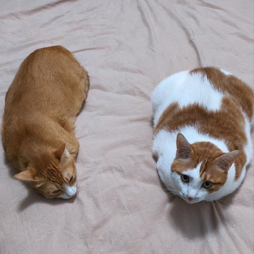 睡到自然醒