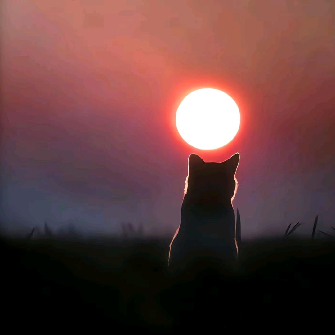 违心丶