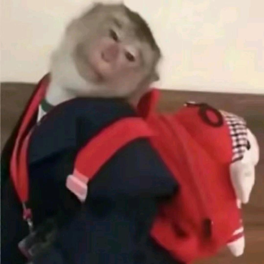 你说是不
