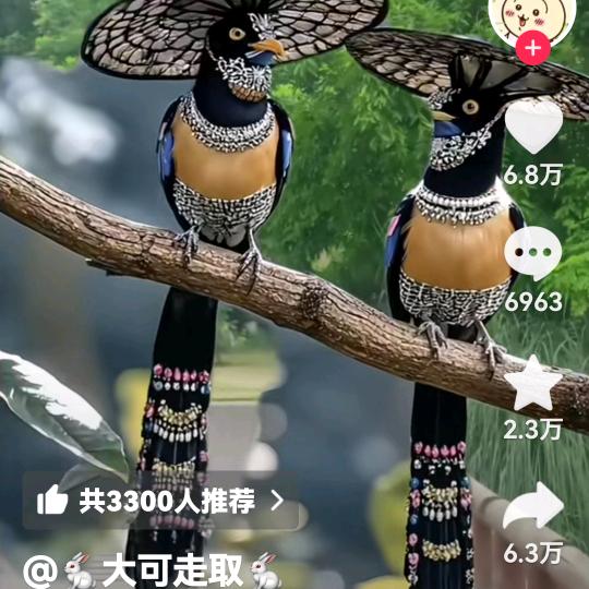 皖淮人