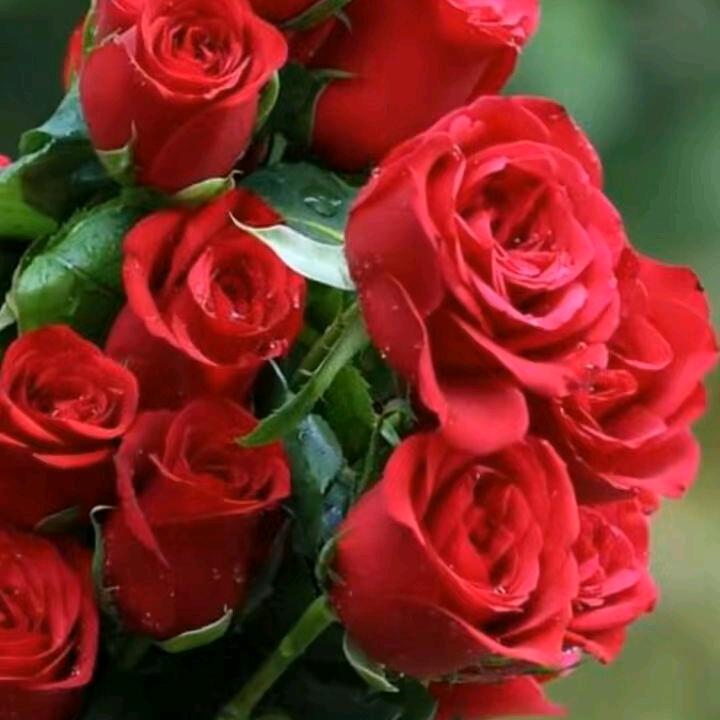 💚余ྎི生ྎྀ都᭄💕开心🌹🌹