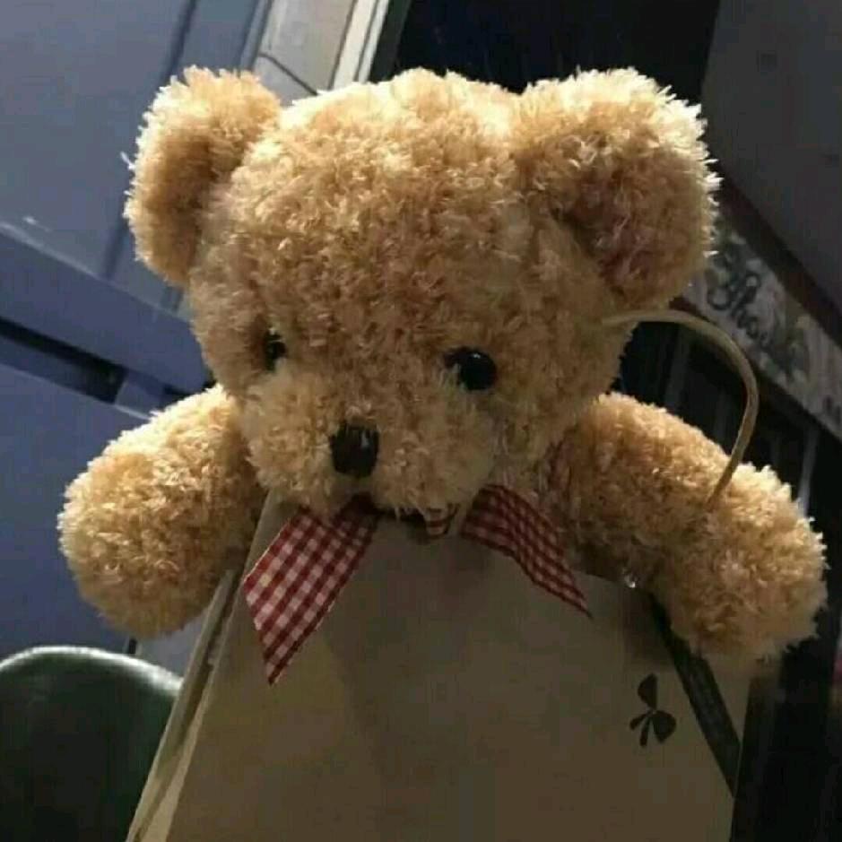 hooo_11