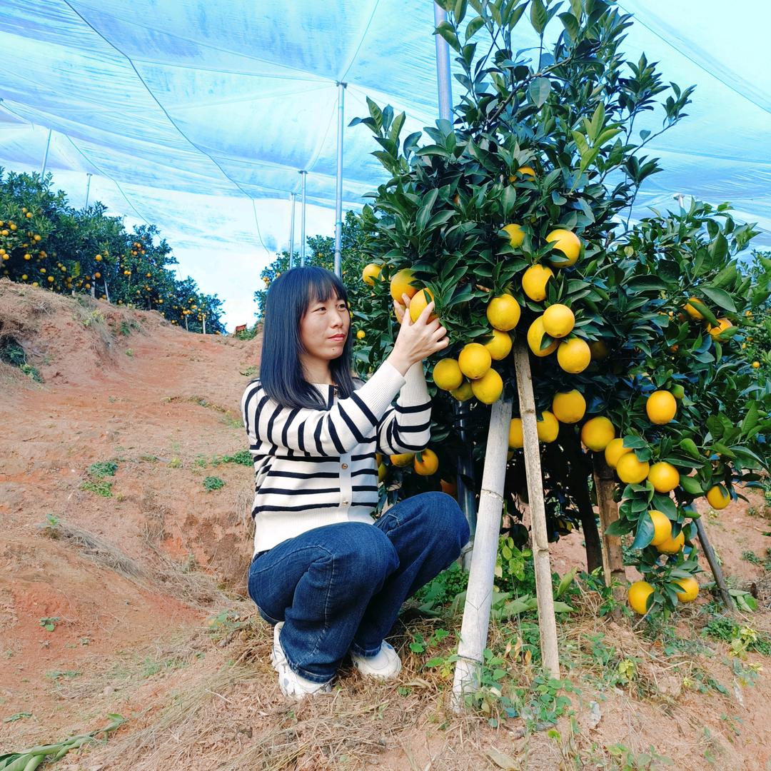 谢露寻乌鲜果小铺