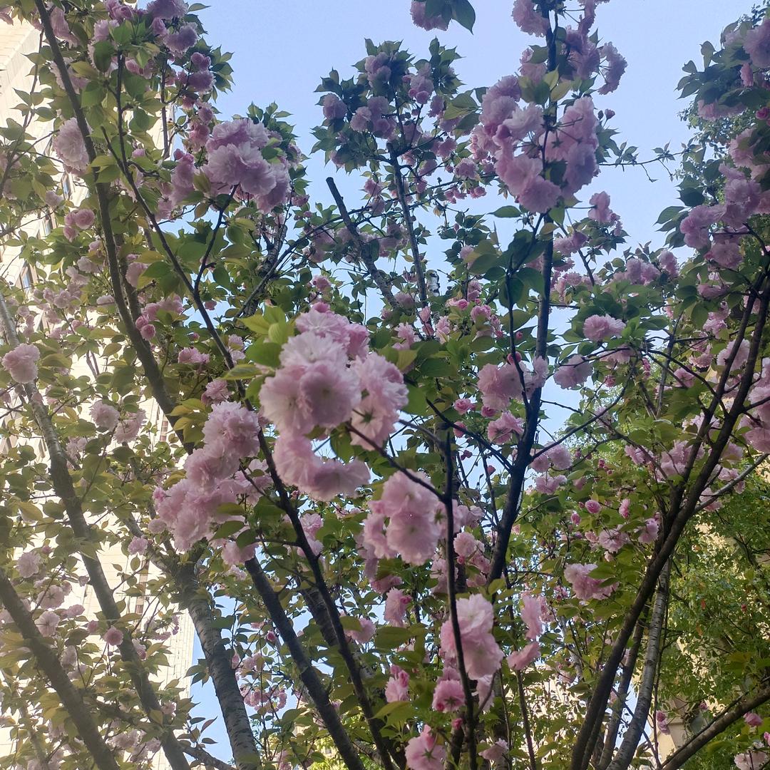 晚风与诗