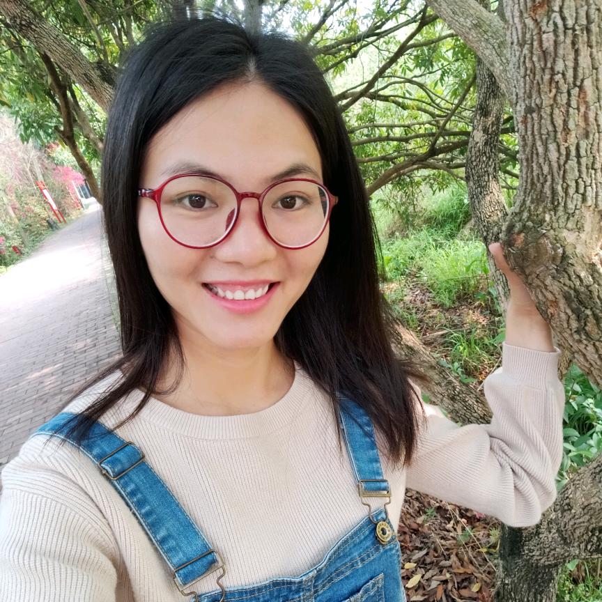 装点梅好