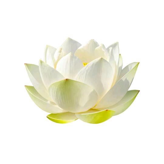 不瘦到95斤不改名