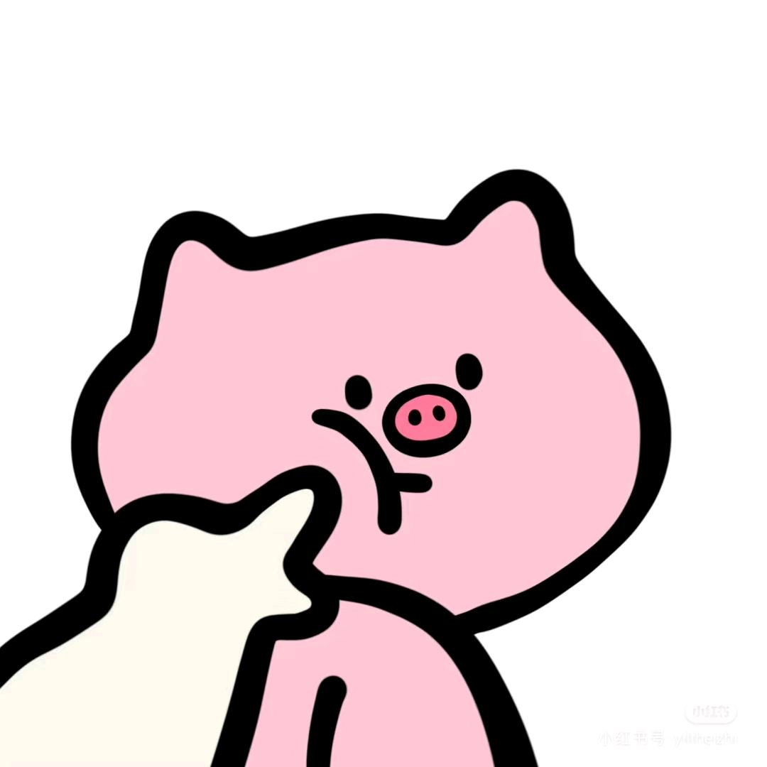 大王的小司