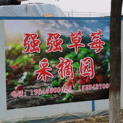郭牛村强强草莓园🍓