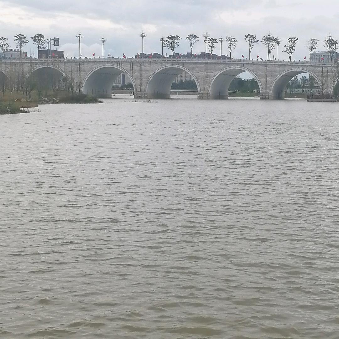 十月十八的兔兔