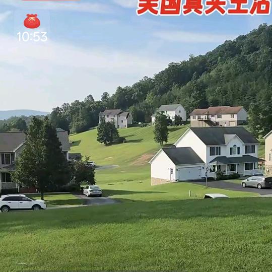 78593974462
