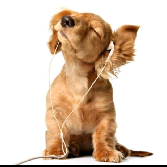 以至欢喜或失落。