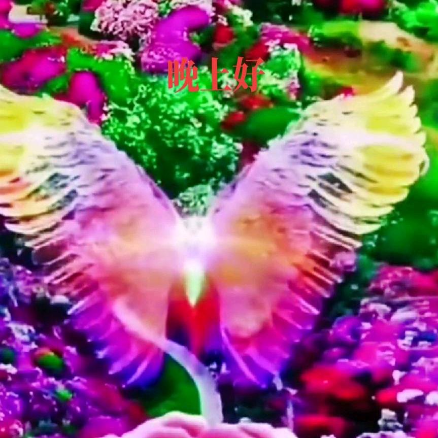 老玩童
