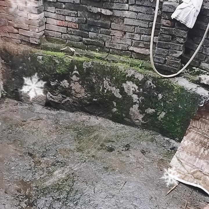 意外和惊喜