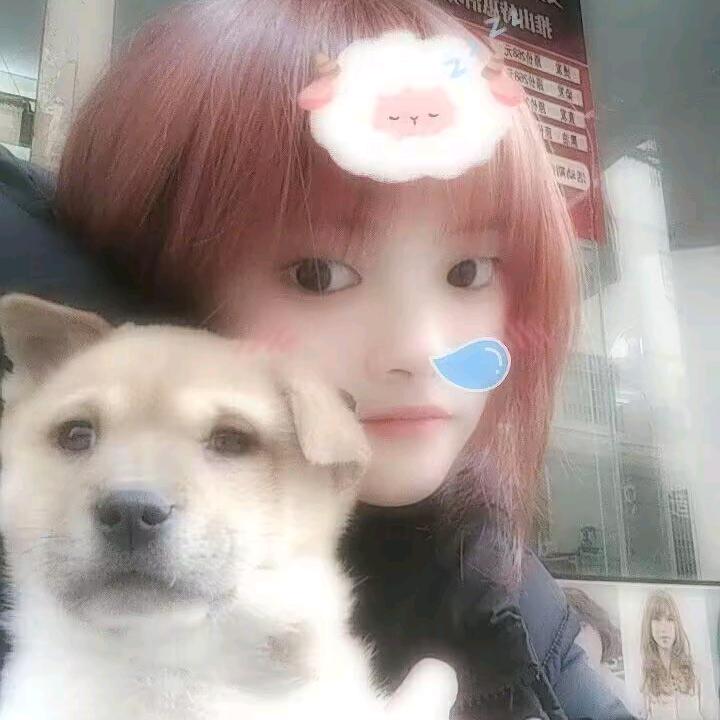 水鱼我之前的狗😂