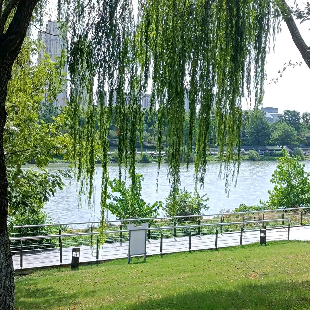 ！！！真爱！！！