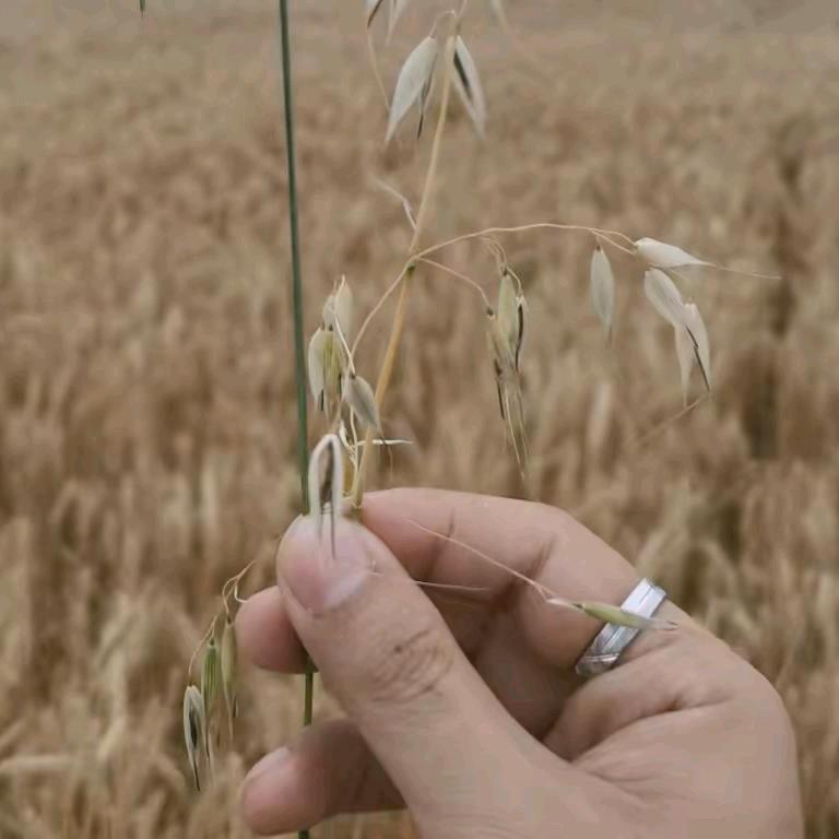 一路向北　　　　　╲