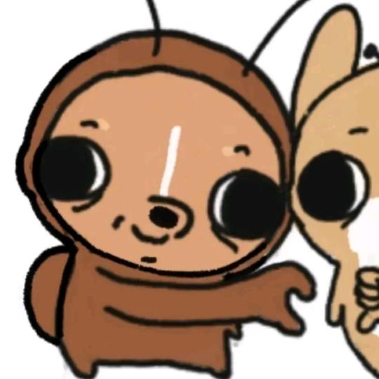 撩不到双子（实习版）